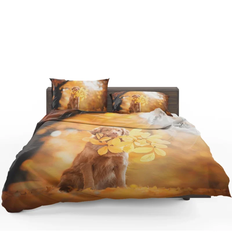 Fall Leaf Quartet: Newfoundland in Autumn Bedding Set