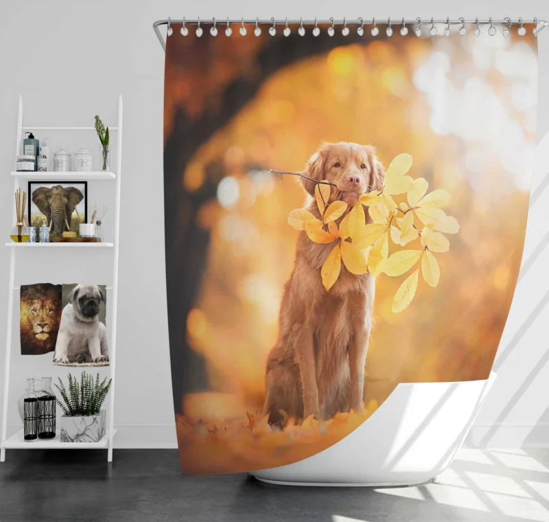 Fall Leaf Quartet: Newfoundland in Autumn Shower Curtain