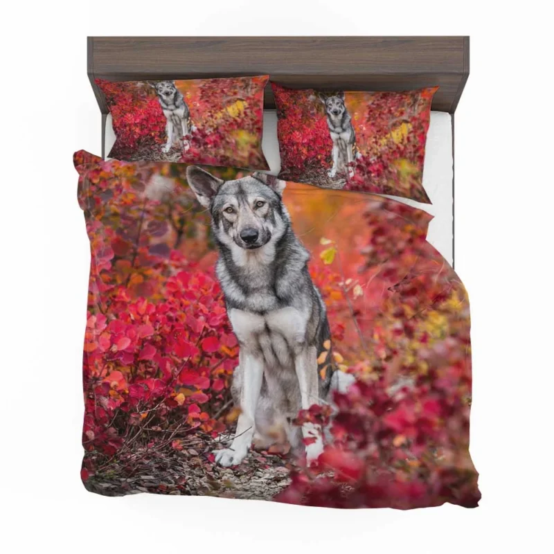 Fall Leafy Landscape: Wolfdog Quartet Bedding Set 1