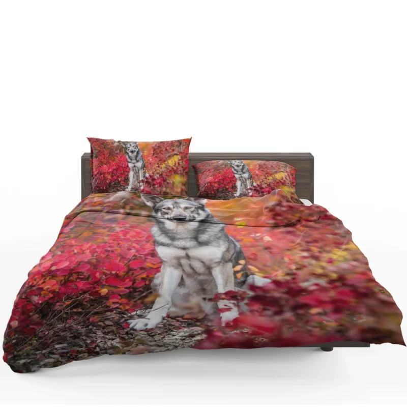 Fall Leafy Landscape: Wolfdog Quartet Bedding Set