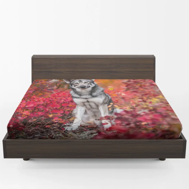 Fall Leafy Landscape: Wolfdog Quartet Fitted Sheet 1