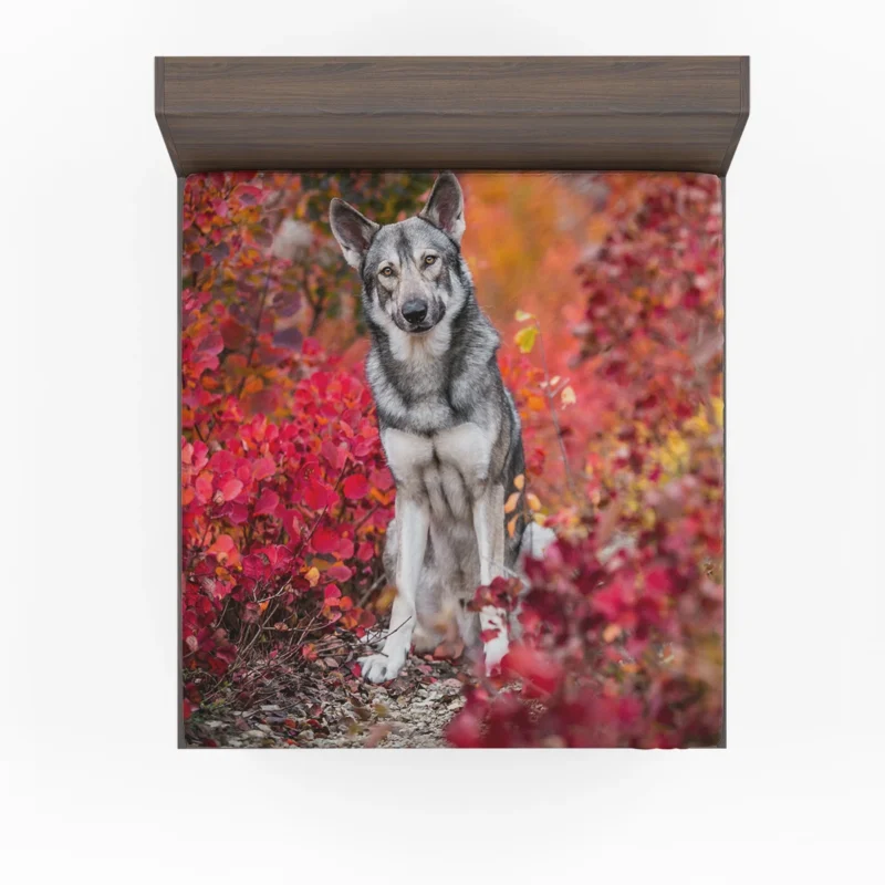 Fall Leafy Landscape: Wolfdog Quartet Fitted Sheet