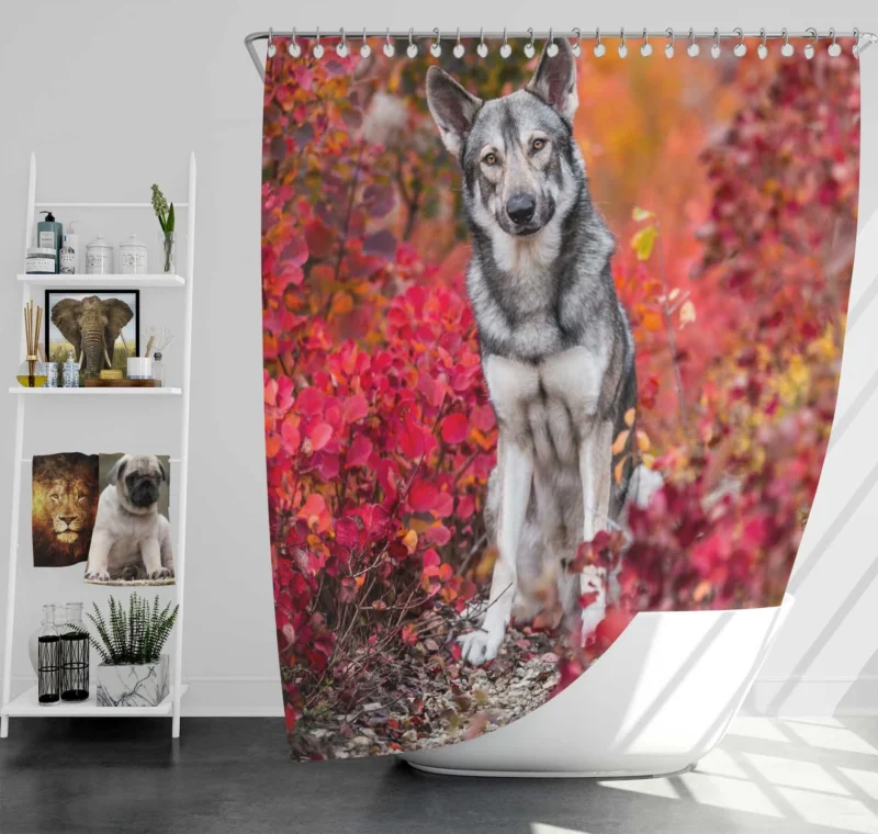 Fall Leafy Landscape: Wolfdog Quartet Shower Curtain