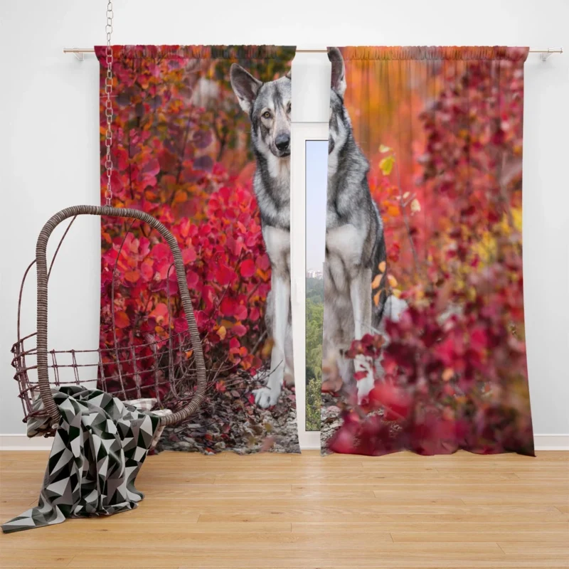 Fall Leafy Landscape: Wolfdog Quartet Window Curtain