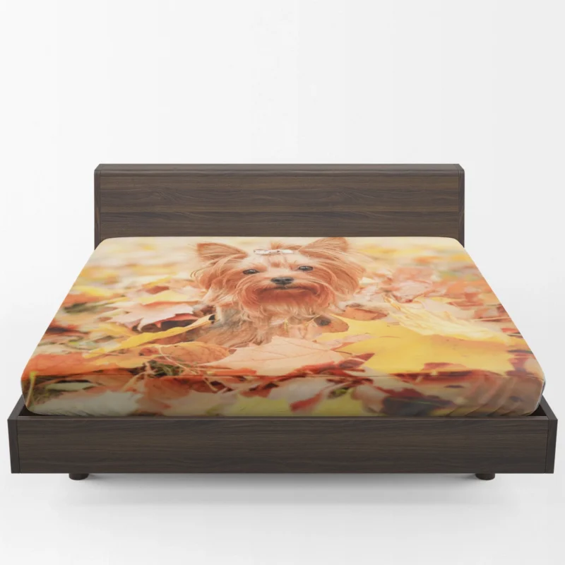 Fall Leafy Scene: Yorkshire Terrier Quartet Fitted Sheet 1