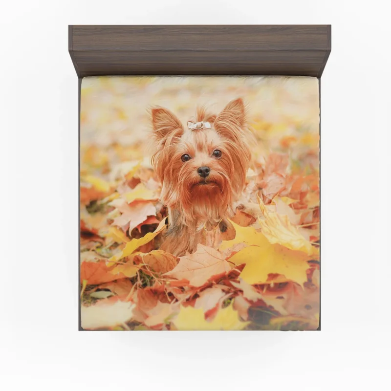 Fall Leafy Scene: Yorkshire Terrier Quartet Fitted Sheet