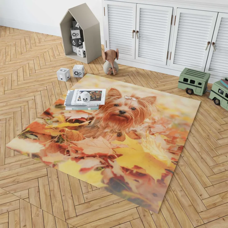 Fall Leafy Scene: Yorkshire Terrier Quartet Floor Rug 1