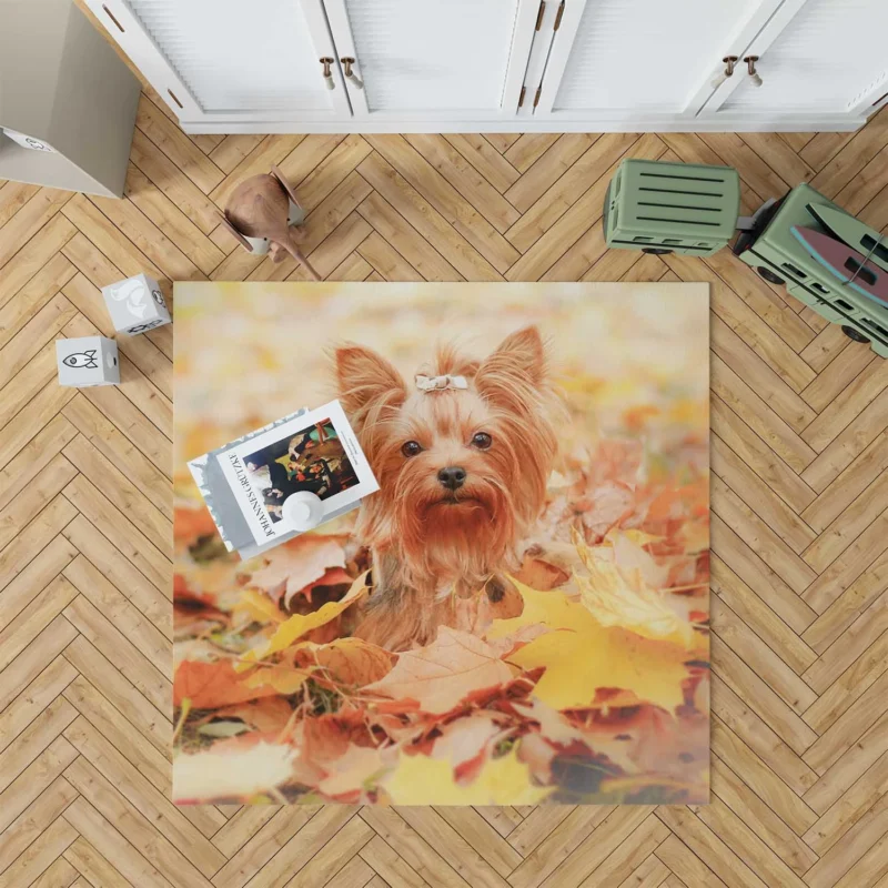 Fall Leafy Scene: Yorkshire Terrier Quartet Floor Rug