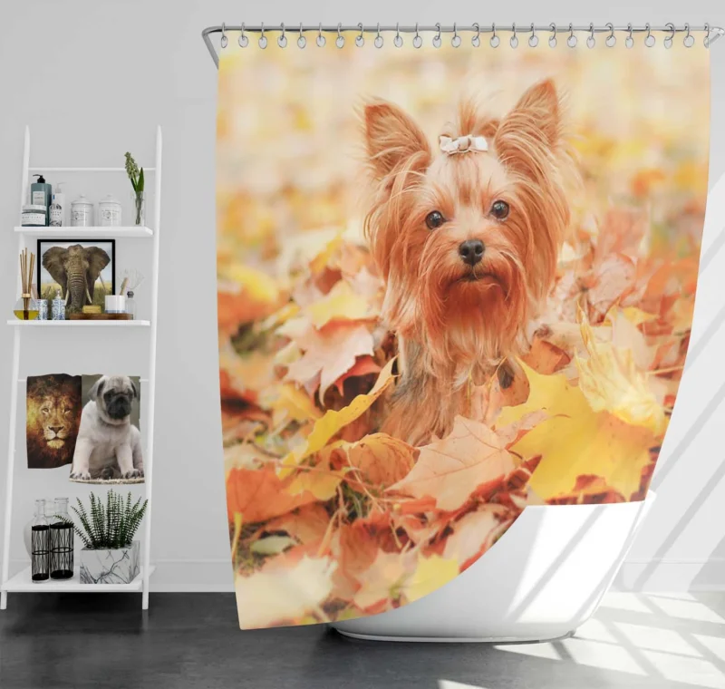 Fall Leafy Scene: Yorkshire Terrier Quartet Shower Curtain