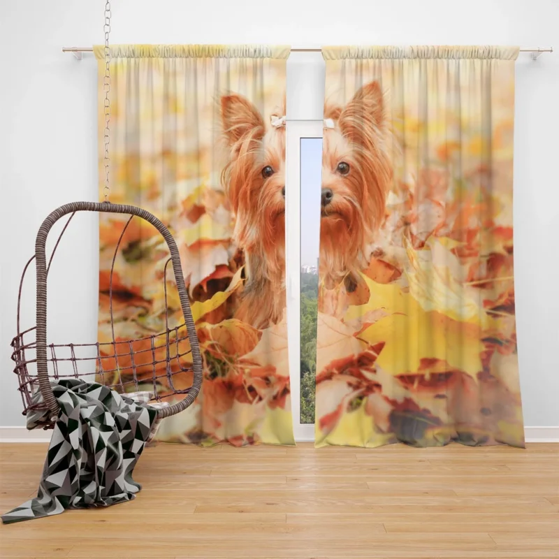 Fall Leafy Scene: Yorkshire Terrier Quartet Window Curtain