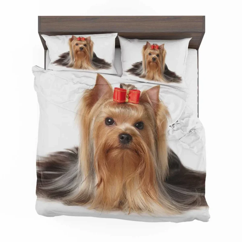 Fall Leafy Setting: Yorkshire Terrier Quartet Bedding Set 1