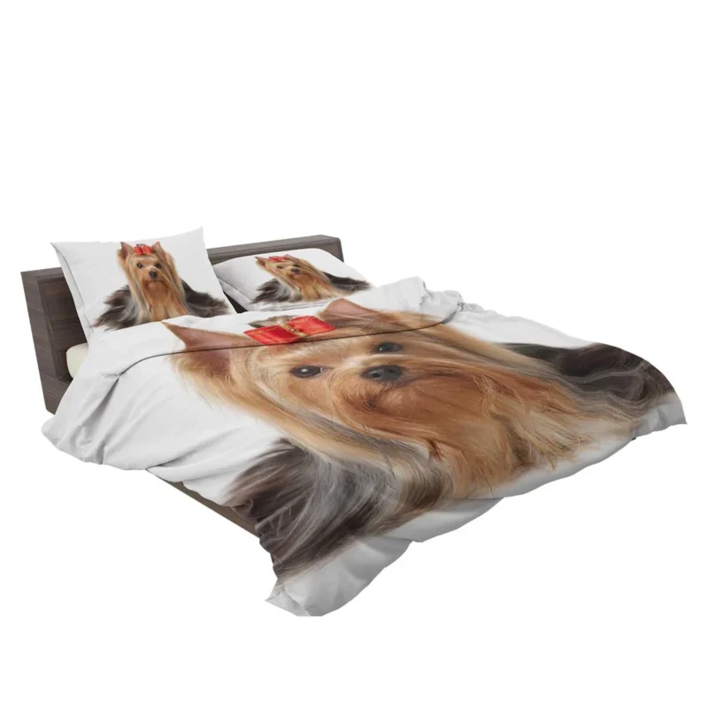 Fall Leafy Setting: Yorkshire Terrier Quartet Bedding Set 2