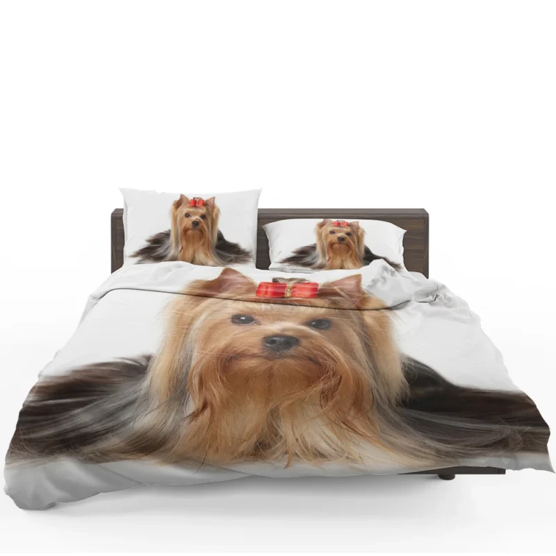 Fall Leafy Setting: Yorkshire Terrier Quartet Bedding Set