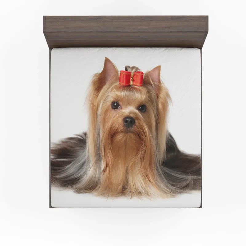 Fall Leafy Setting: Yorkshire Terrier Quartet Fitted Sheet