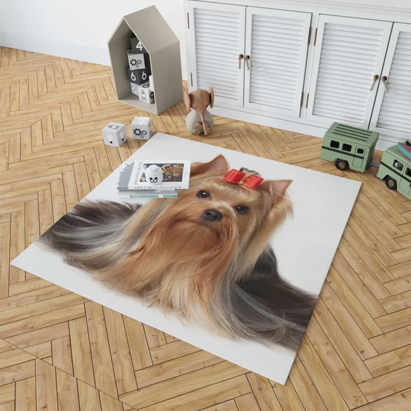 Fall Leafy Setting: Yorkshire Terrier Quartet Floor Rug 1