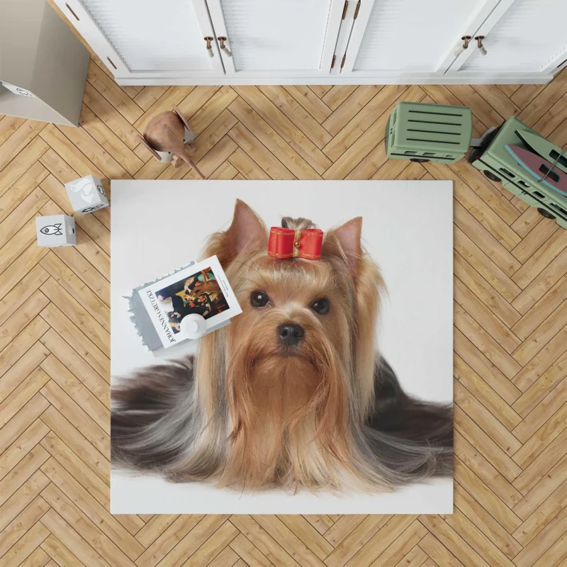 Fall Leafy Setting: Yorkshire Terrier Quartet Floor Rug