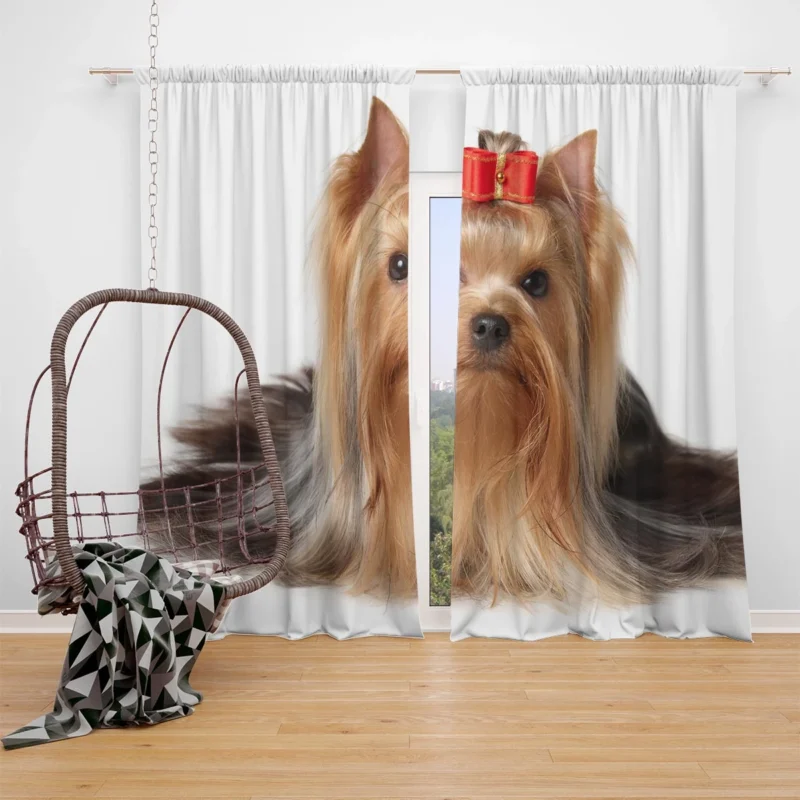 Fall Leafy Setting: Yorkshire Terrier Quartet Window Curtain