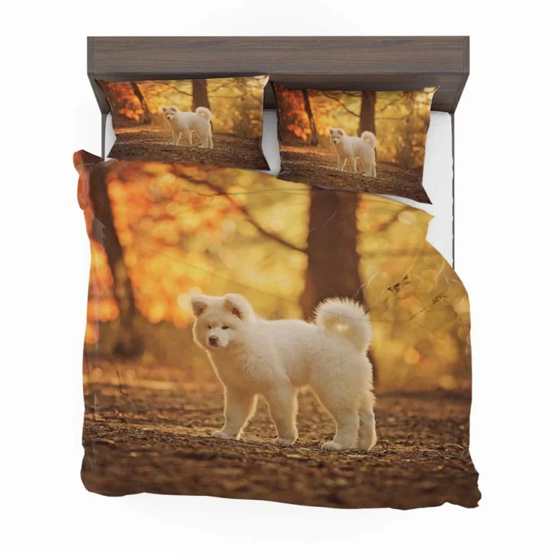 Fall Light and Bokeh: Akita Quartet Wallpaper Bedding Set 1