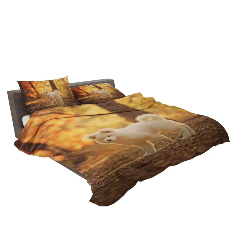 Fall Light and Bokeh: Akita Quartet Wallpaper Bedding Set 2