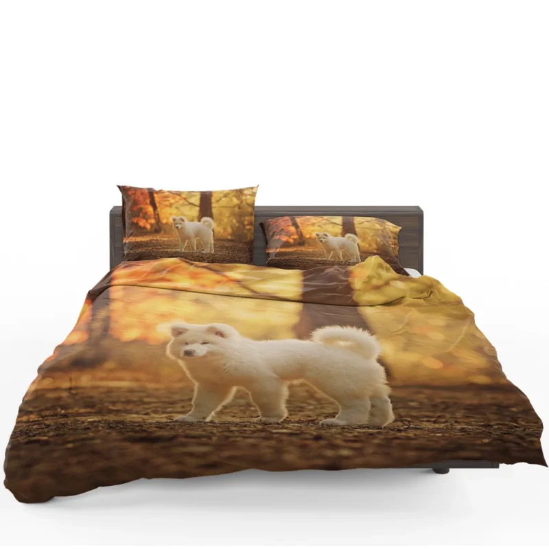 Fall Light and Bokeh: Akita Quartet Wallpaper Bedding Set