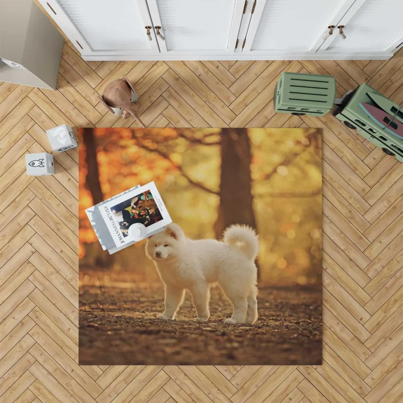 Fall Light and Bokeh: Akita Quartet Wallpaper Floor Rug