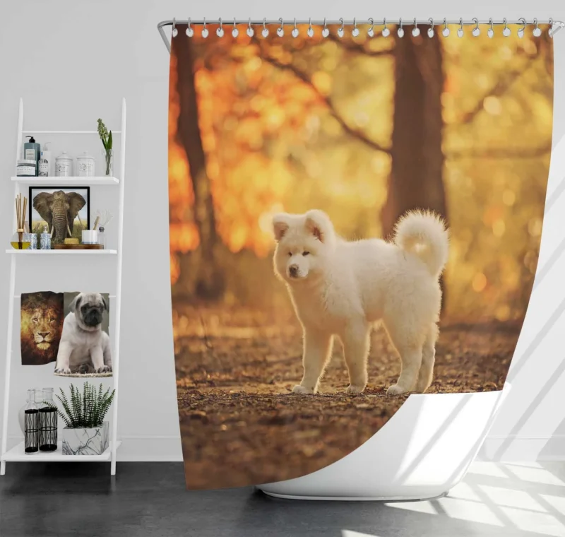 Fall Light and Bokeh: Akita Quartet Wallpaper Shower Curtain