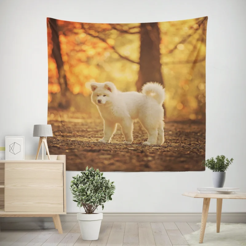 Fall Light and Bokeh  Akita Quartet Wallpaper Wall Tapestry