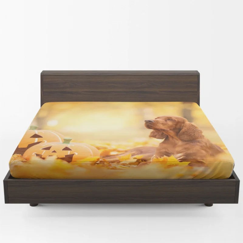 Fall Pumpkin Patch: English Cocker Spaniel Quartet Fitted Sheet 1