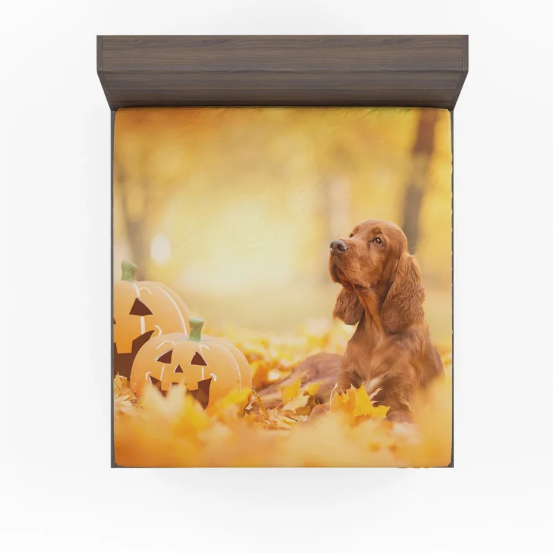 Fall Pumpkin Patch: English Cocker Spaniel Quartet Fitted Sheet