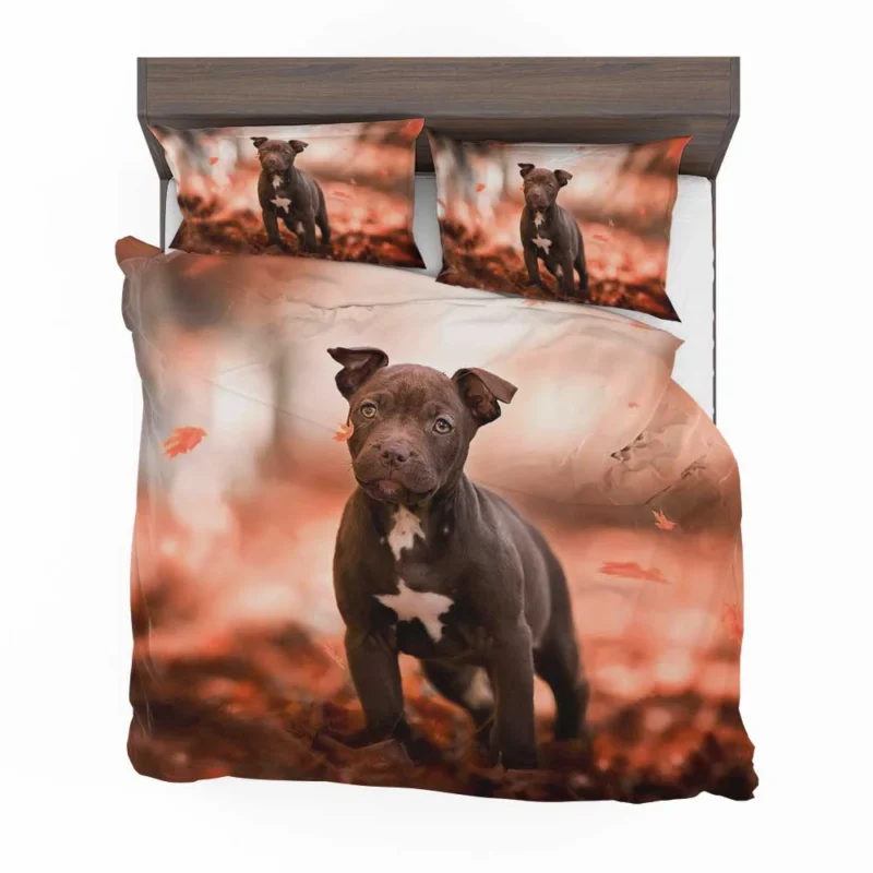 Fall Puppies in a Bauble: American Pit Bull Terrier Quartet Bedding Set 1