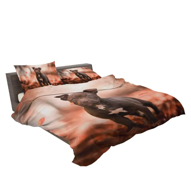 Fall Puppies in a Bauble: American Pit Bull Terrier Quartet Bedding Set 2