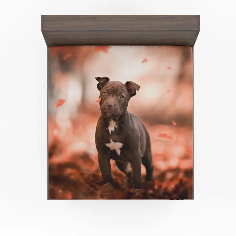Fall Puppies in a Bauble: American Pit Bull Terrier Quartet Fitted Sheet