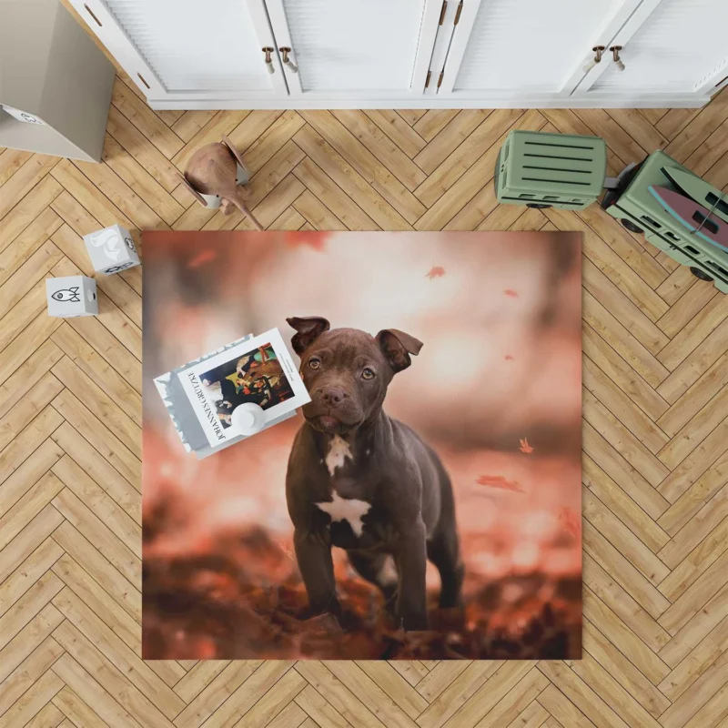 Fall Puppies in a Bauble: American Pit Bull Terrier Quartet Floor Rug