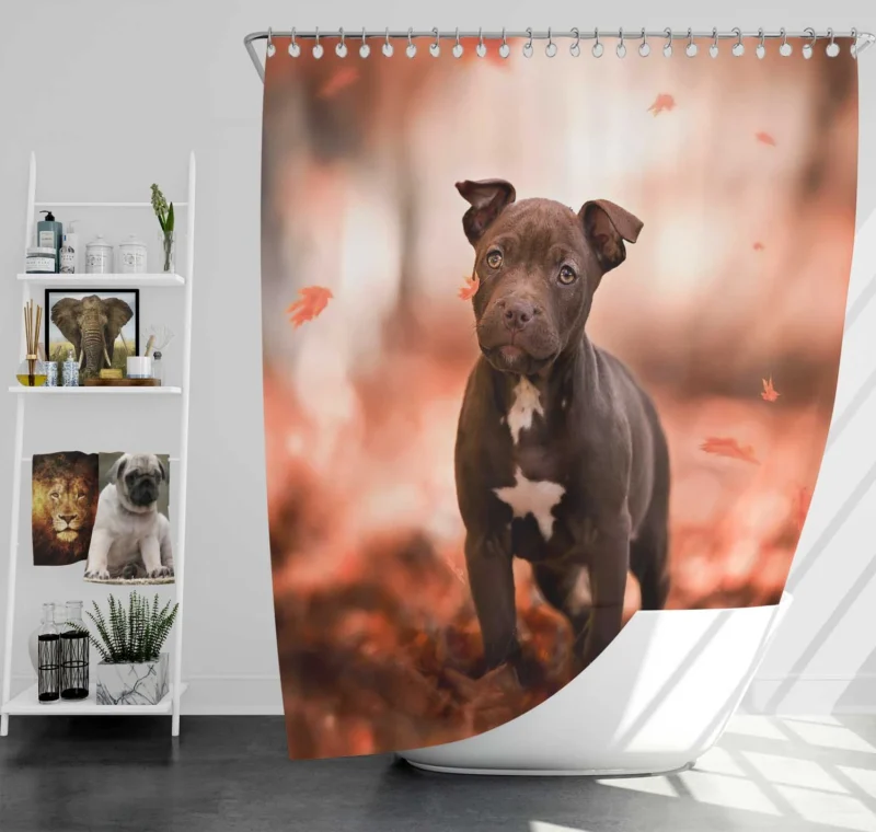 Fall Puppies in a Bauble: American Pit Bull Terrier Quartet Shower Curtain