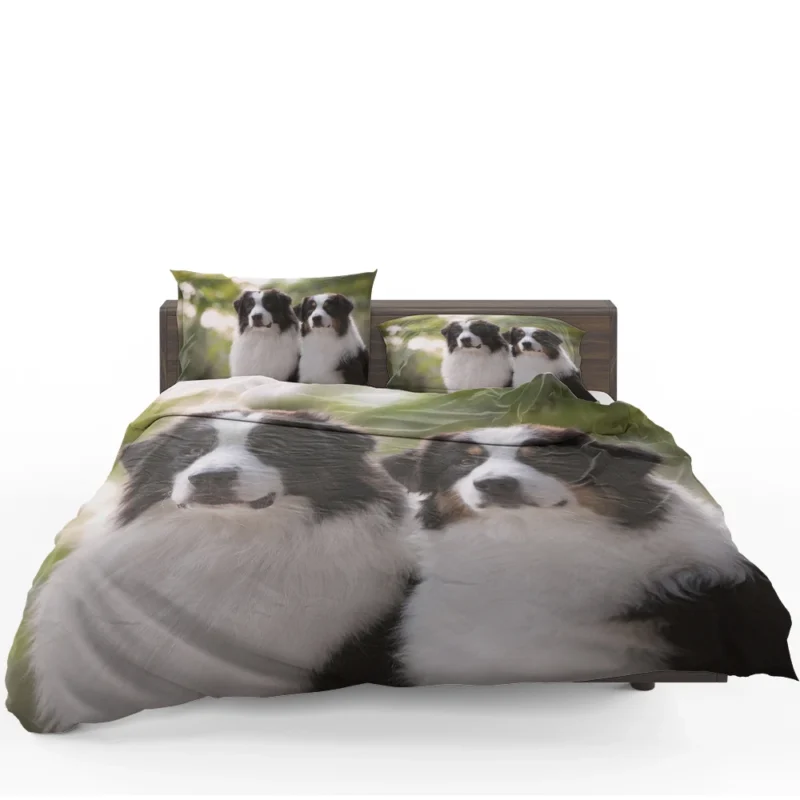 Father and Son Bond: Australian Shepherd Bedding Set