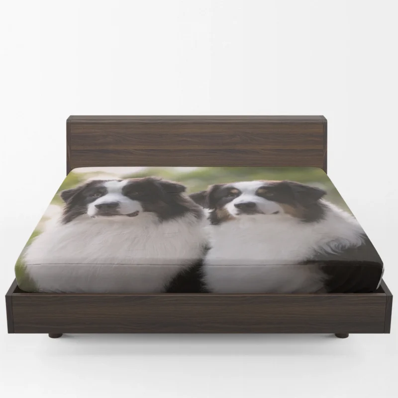 Father and Son Bond: Australian Shepherd Fitted Sheet 1