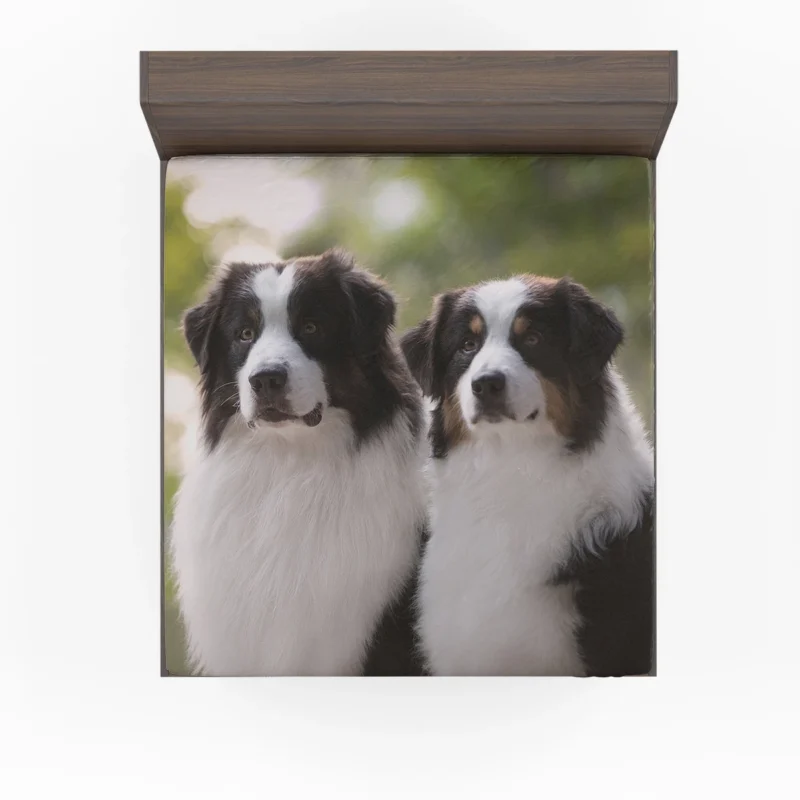 Father and Son Bond: Australian Shepherd Fitted Sheet