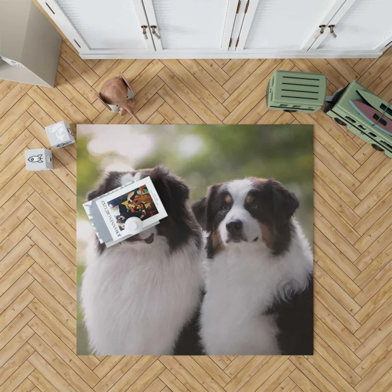 Father and Son Bond: Australian Shepherd Floor Rug