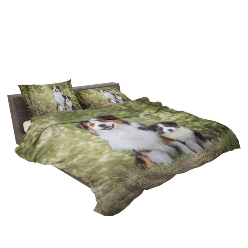 Father and Son Canine Love: Australian Shepherd Bedding Set 2