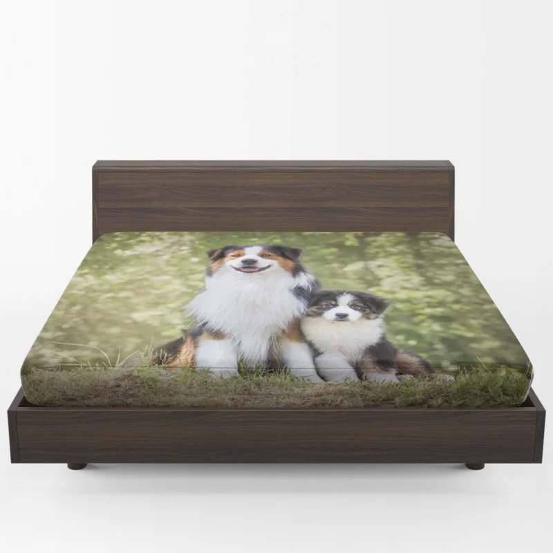 Father and Son Canine Love: Australian Shepherd Fitted Sheet 1