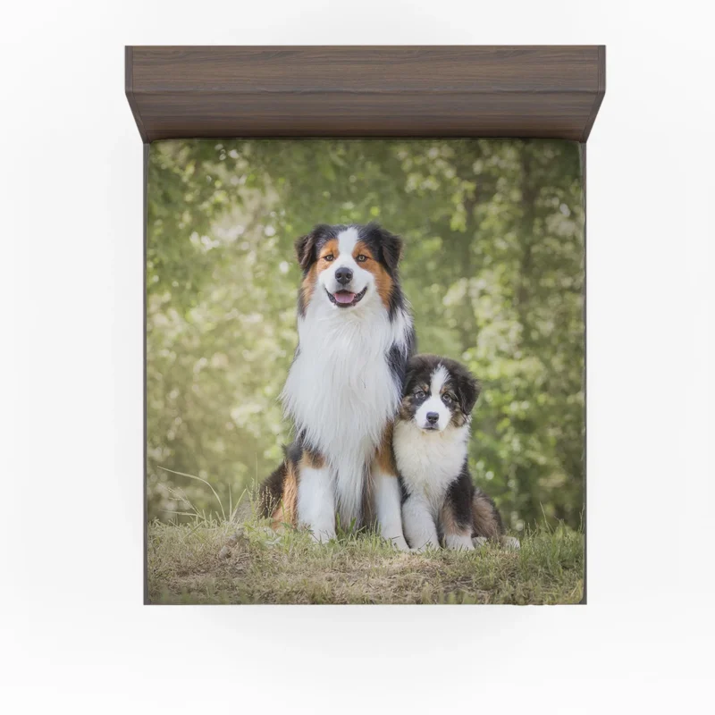 Father and Son Canine Love: Australian Shepherd Fitted Sheet