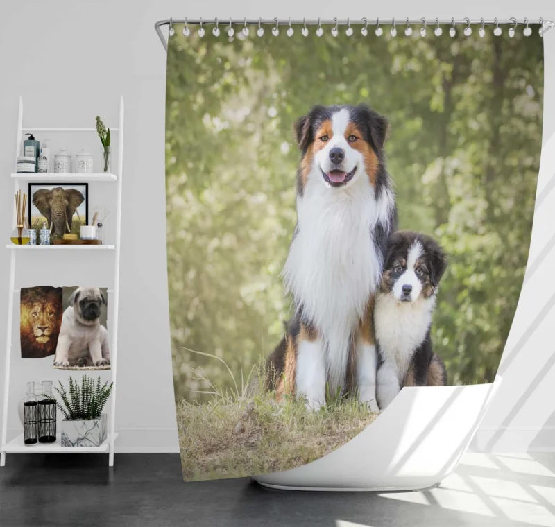 Father and Son Canine Love: Australian Shepherd Shower Curtain