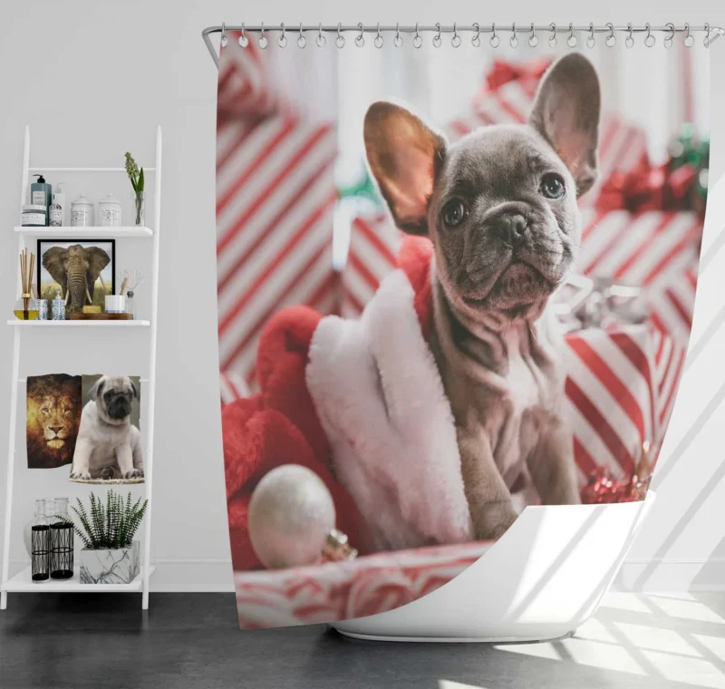 Festive French Bulldog with Santa Hat Shower Curtain