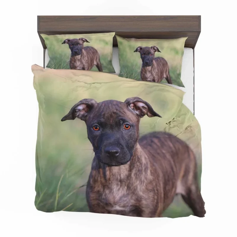 Festive Joy: Pit Bull Puppy Quartet Bedding Set 1