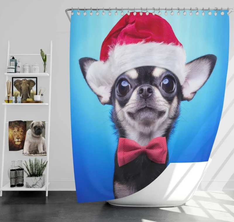 Festive Pup in Santa Hat and Bow Tie: Christmas Chihuahua Quartet Shower Curtain