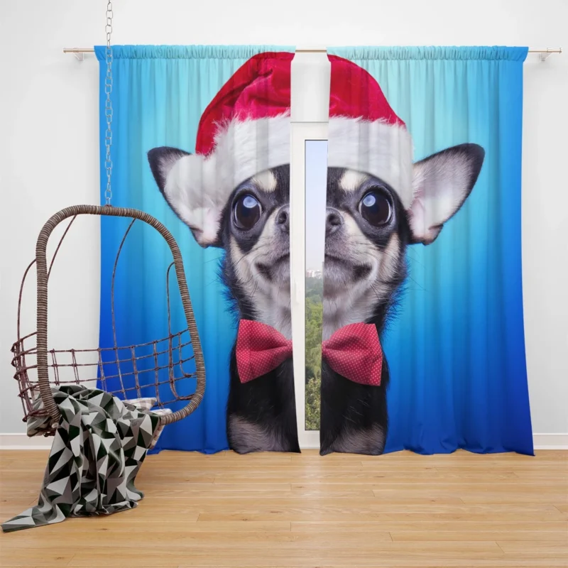 Festive Pup in Santa Hat and Bow Tie: Christmas Chihuahua Quartet Window Curtain