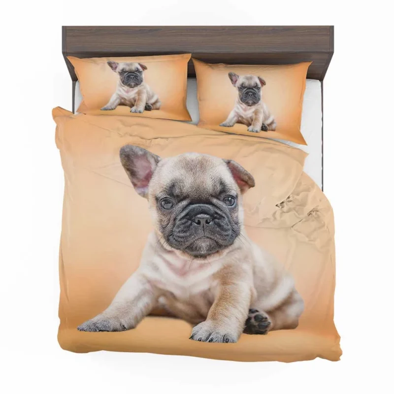 Festive Pups: Pug Christmas Quartet Bedding Set 1