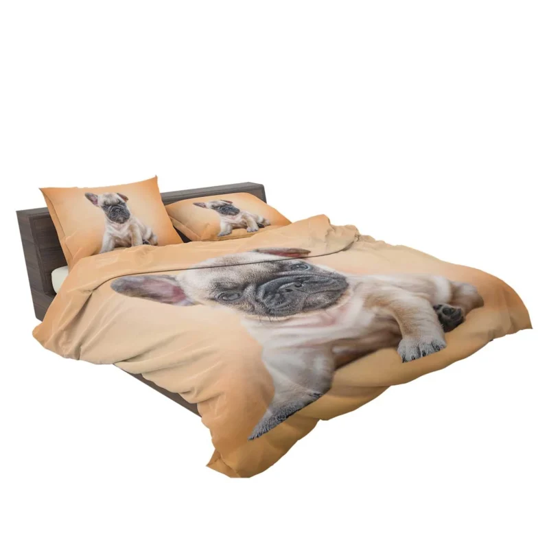 Festive Pups: Pug Christmas Quartet Bedding Set 2