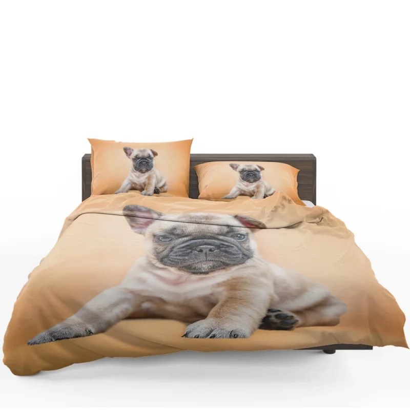 Festive Pups: Pug Christmas Quartet Bedding Set