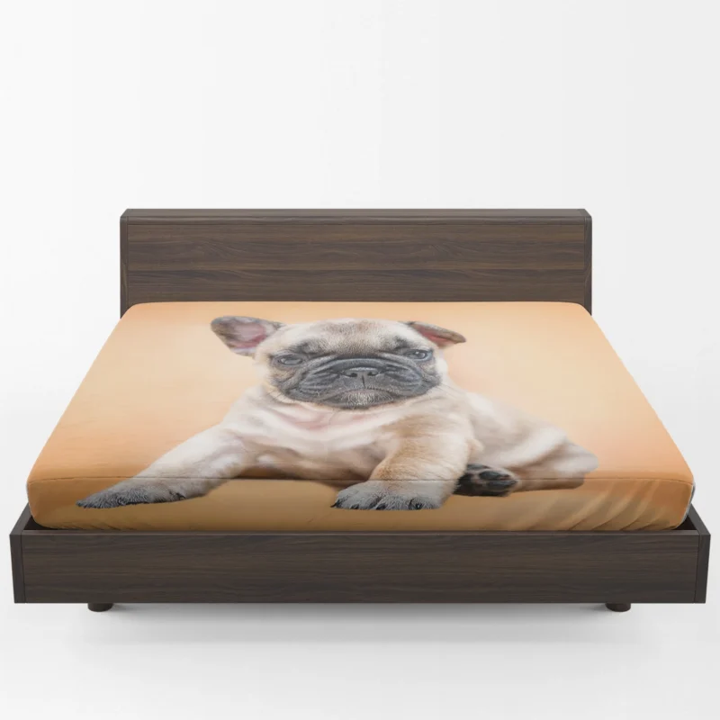 Festive Pups: Pug Christmas Quartet Fitted Sheet 1